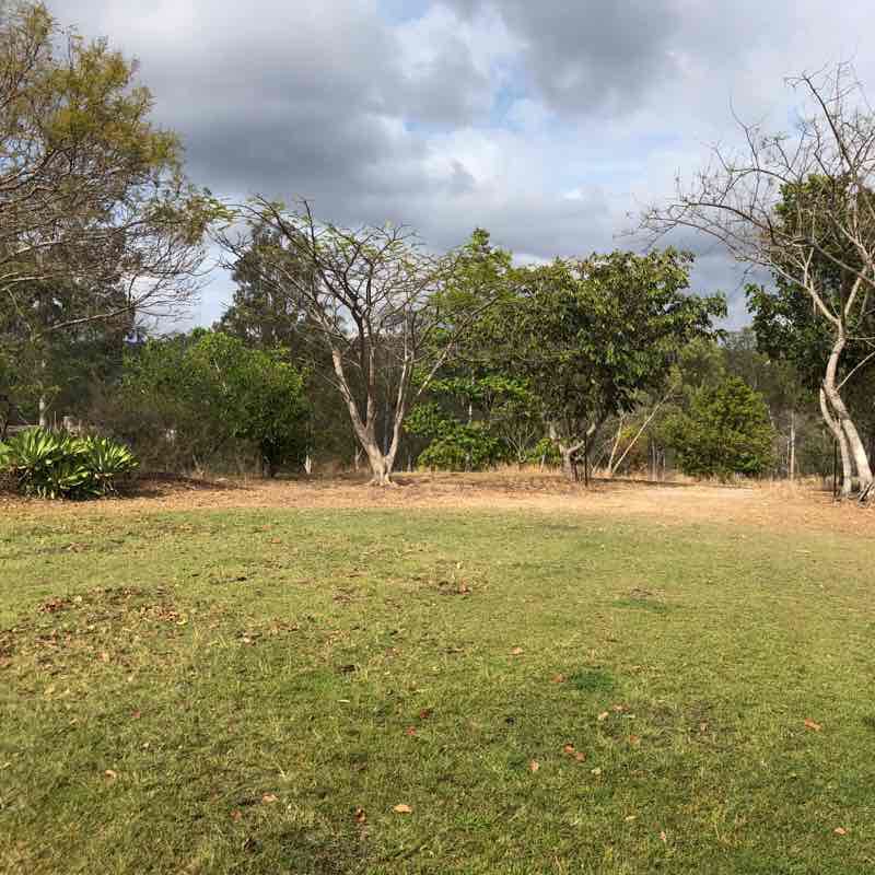 Gin Gin Mt perry road Walk Queensland, Australia Pacer