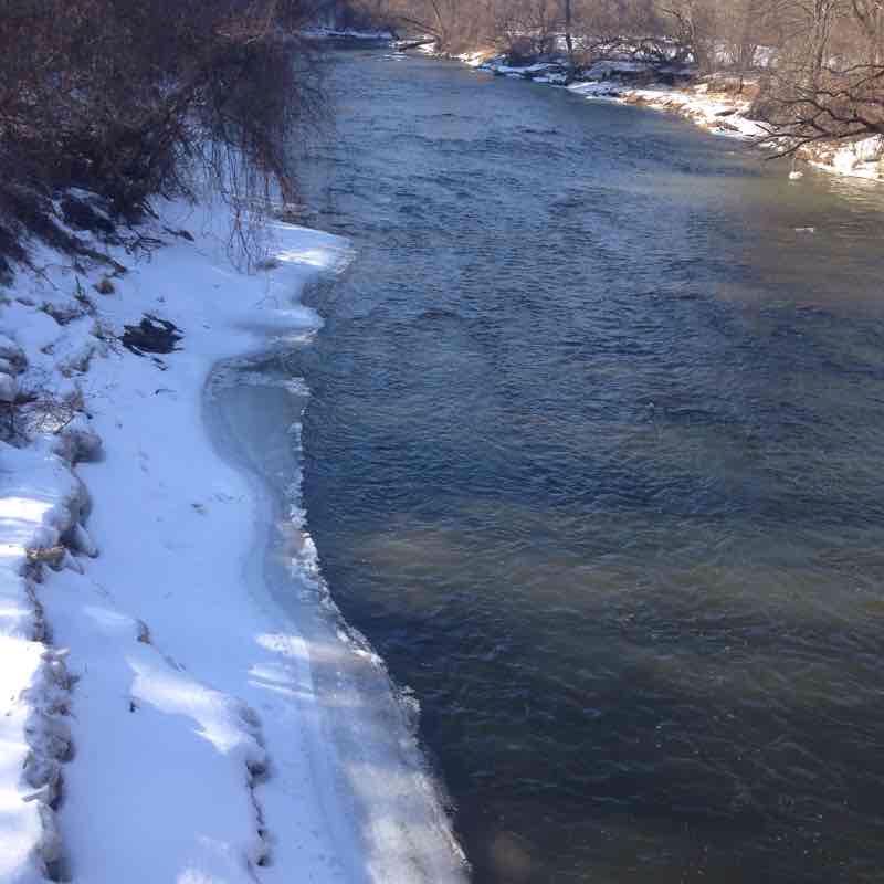 From Nature to Urban