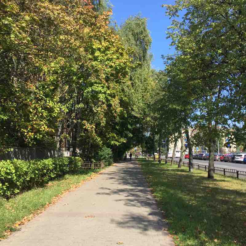 Городская прогулка