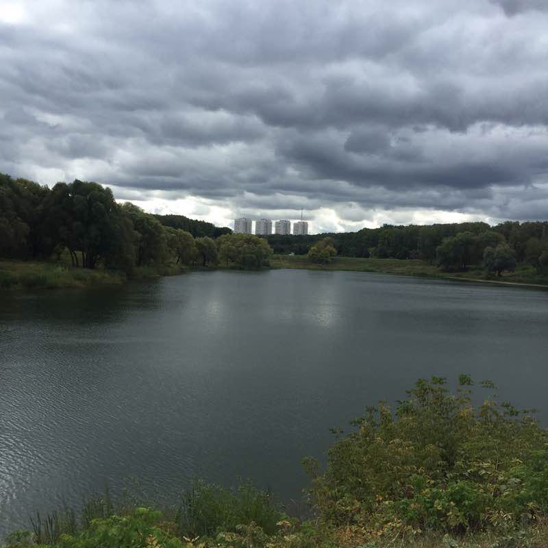 Вдоль парка