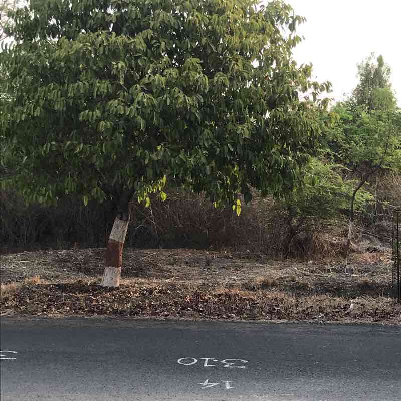 Amravati University Trail walking route map in Amravati