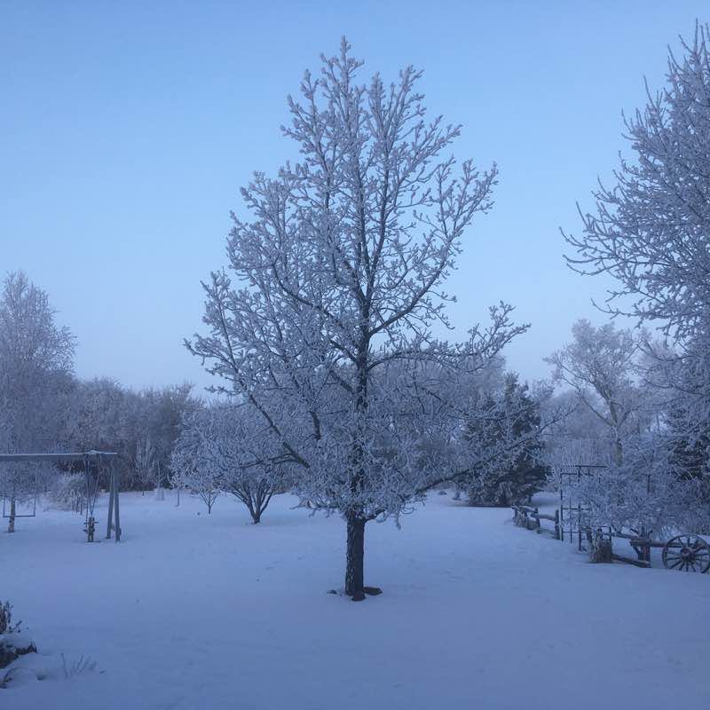 Around home yard walking route map in Melfort