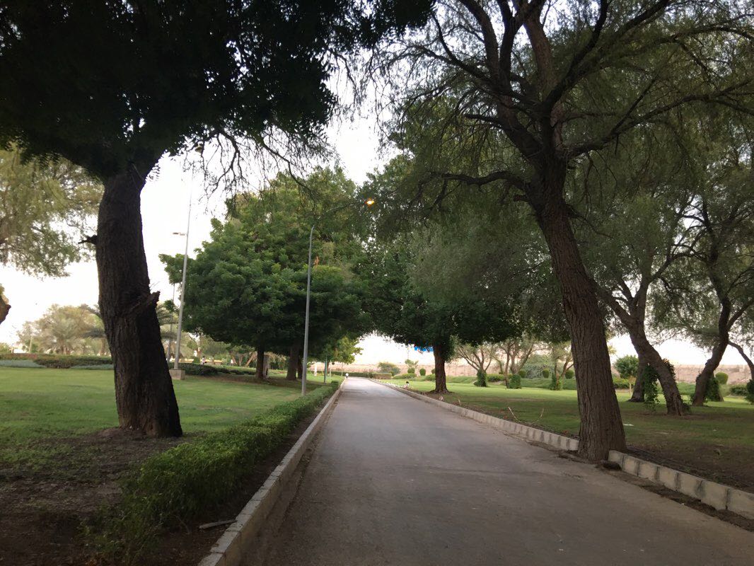 walking near me on 장미 정원 walking route