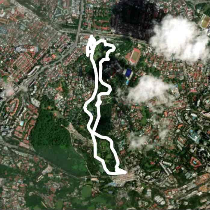 Singapore Botanic Gardens