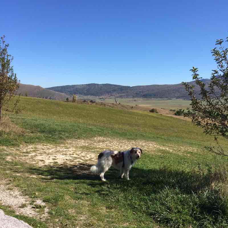 Pedemontana. Pesco-Rivisondoli