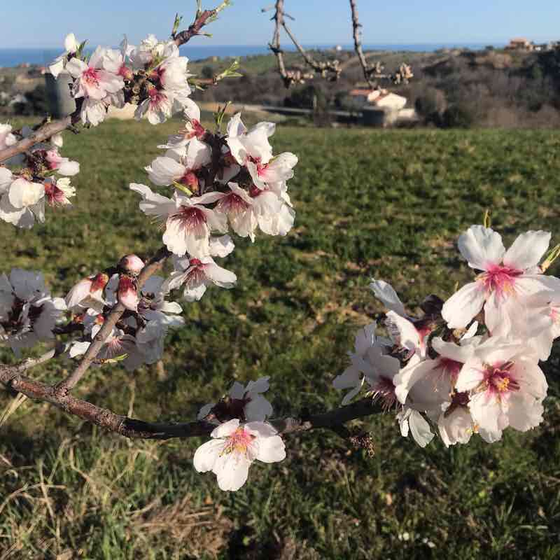 Grottammare-Cupra walking route map in Grottammare