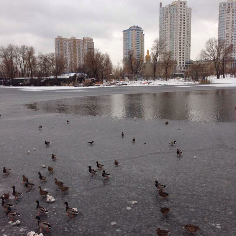 Озеро телбин