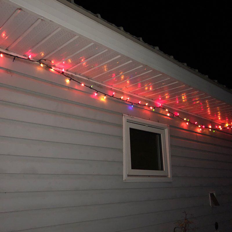 Forest trails  walking route map in Southport