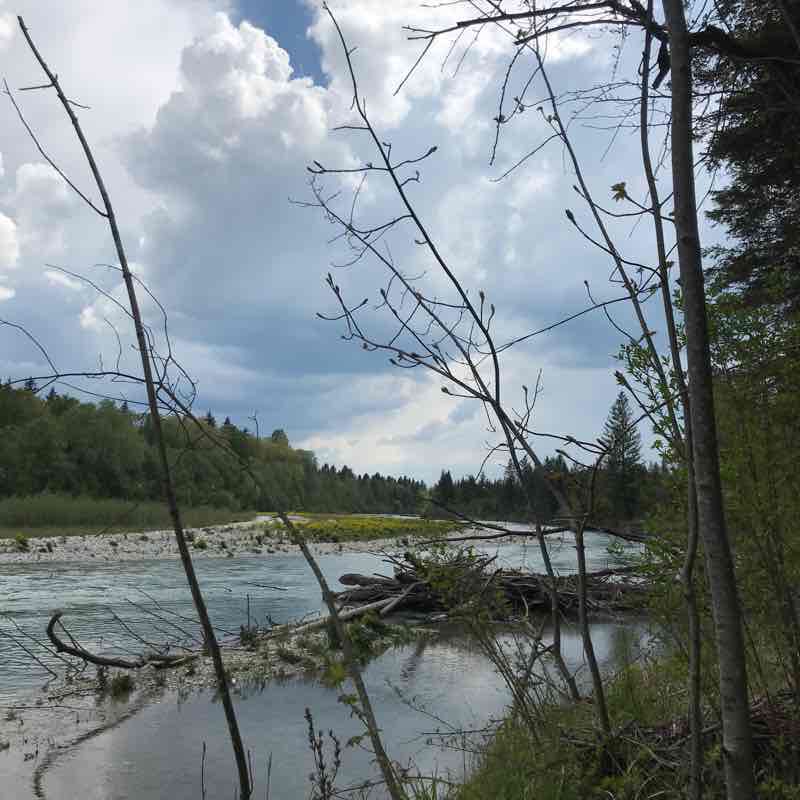 From Icking to Bruckenfischer walking route map in Egling