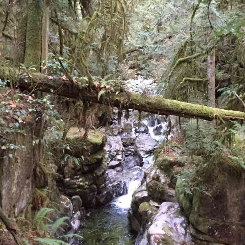 Cypress Falls