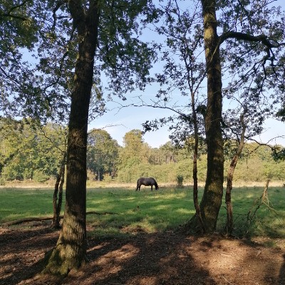 Wendy 🇳🇱 post 3