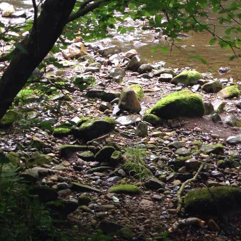 Riverside trail in Lyne Dene wood walking route map in Cresswell