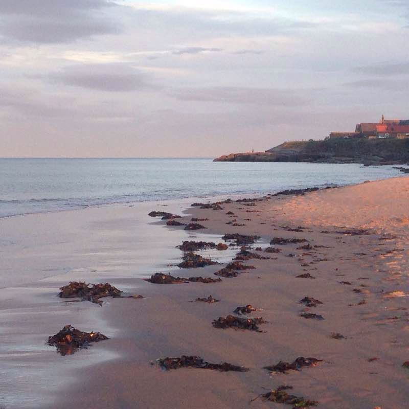 Cresswell Beach walk walking route map in Cresswell