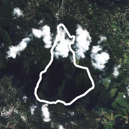 Sherbrooke Forest Loop via Grants Picnic Hround walking route map in Belgrave