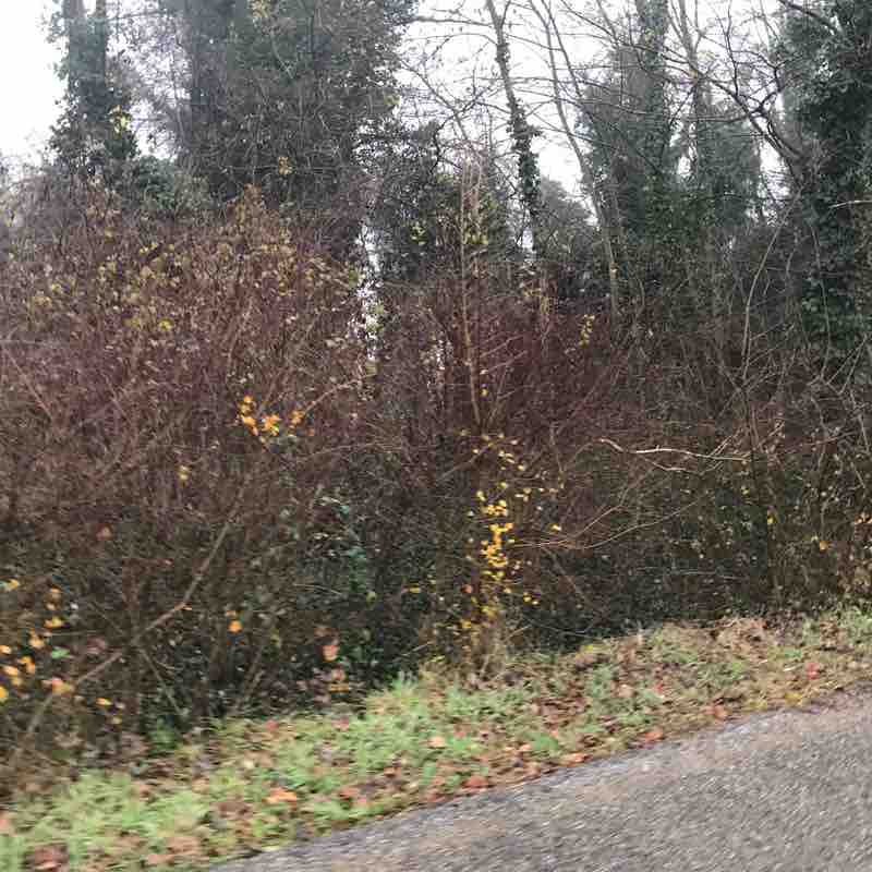 Lungo Mincio Peschiera -Ponti