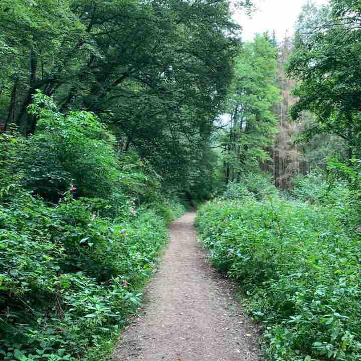 Römerpfal walking route map in Kordel