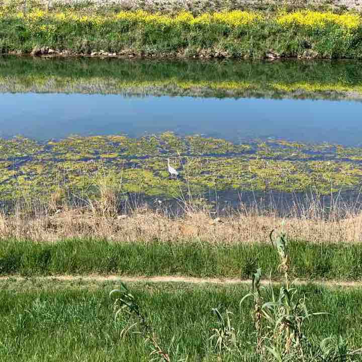 Montpellier-Lattes sur le Lez