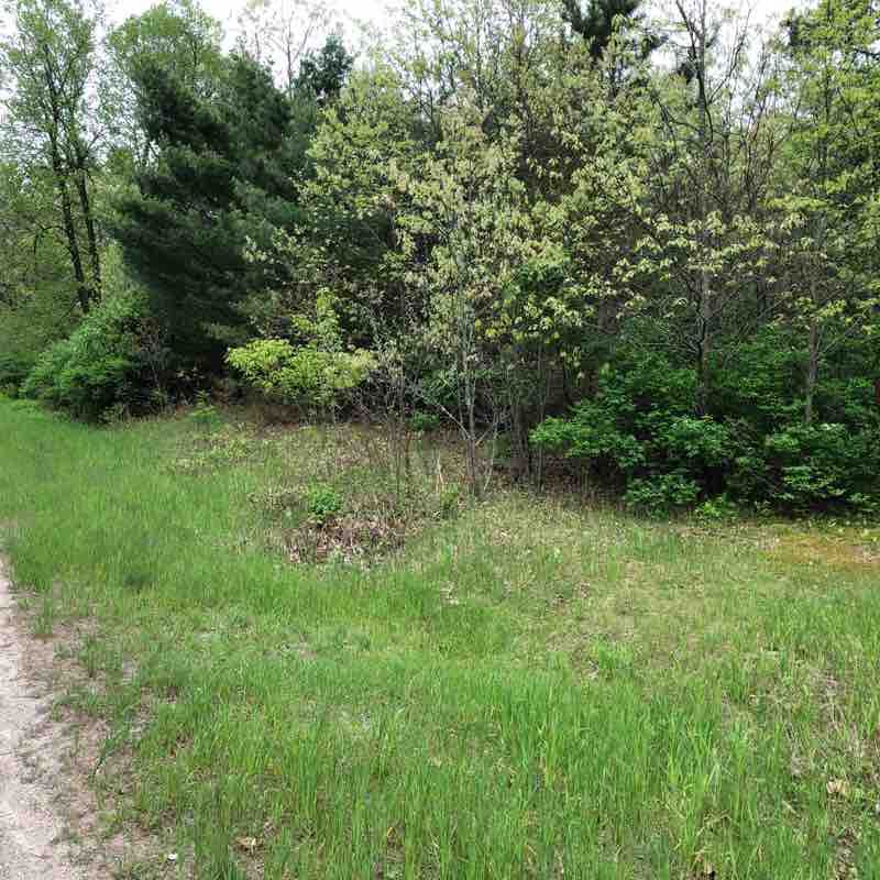 Cr to Wedde Creek walking route map in Coloma