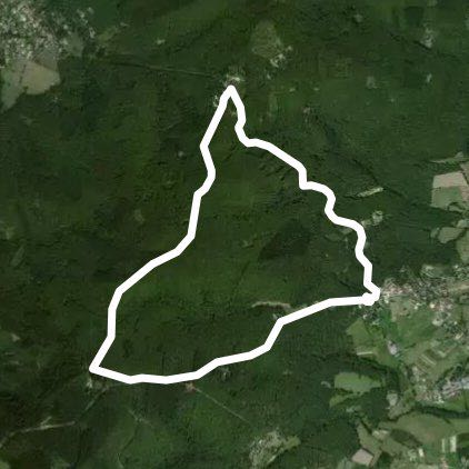 Mon tour de pâté maison 😂