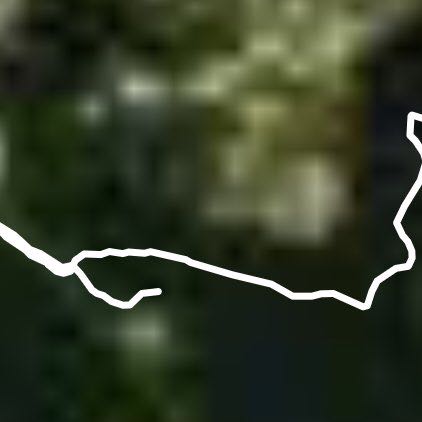 бег 5 км