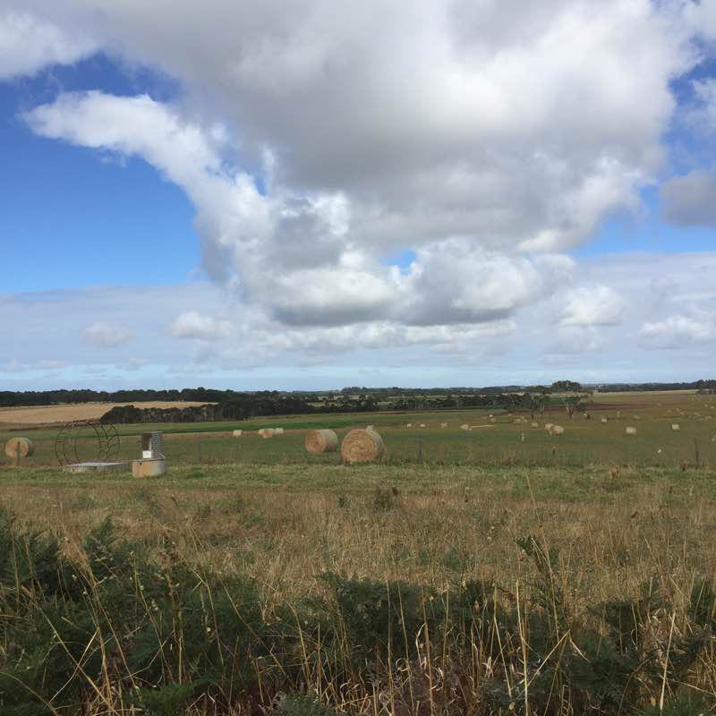 Koonwarra to Leongatha  walking route map in Koonwarra