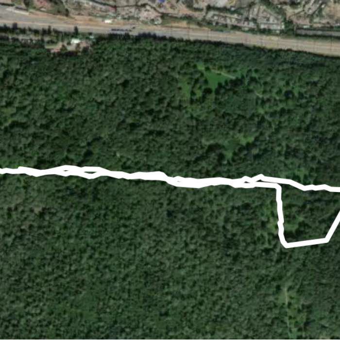 Прогулка  до японского сада