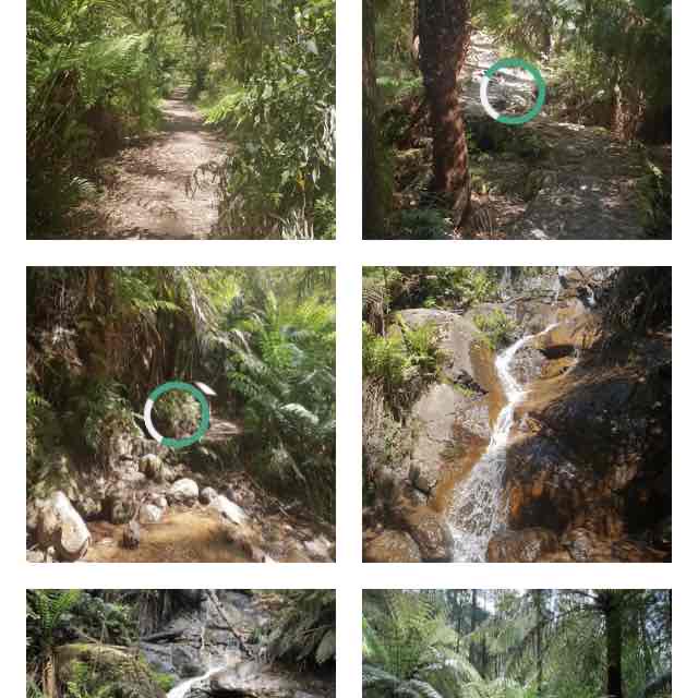 Lala falls to in walking route map in Warburton