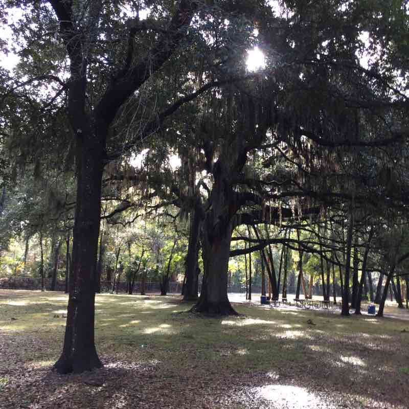 Scott Springs Park Health Trail