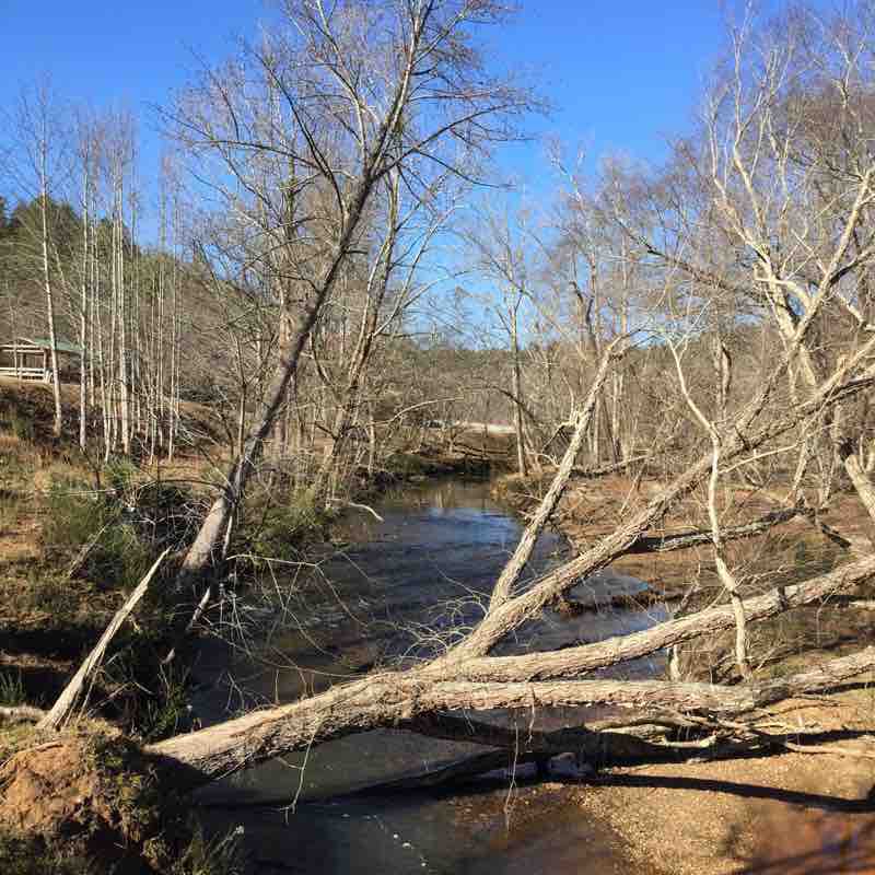 Yahoola Park - creek, forest and hills trail