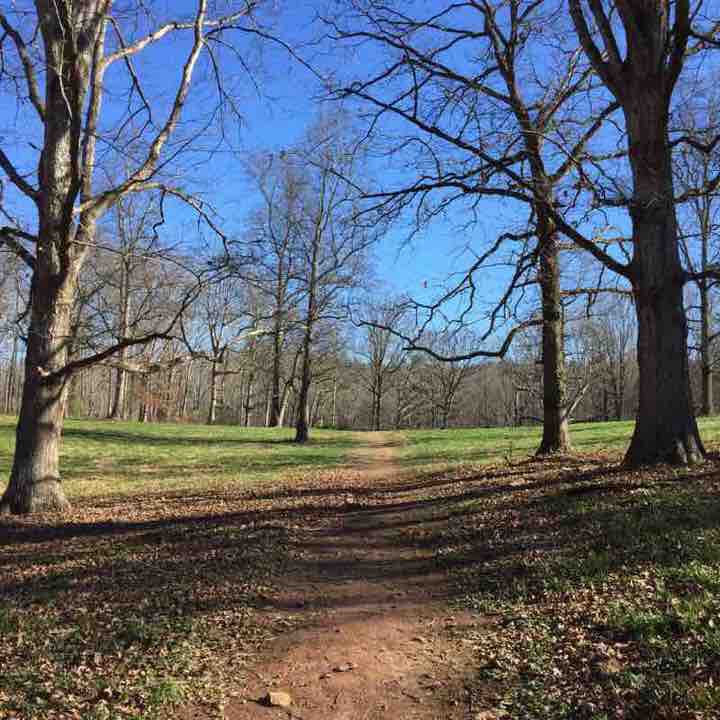 Lanierland Park walking trail Dawsonville, USA Pacer
