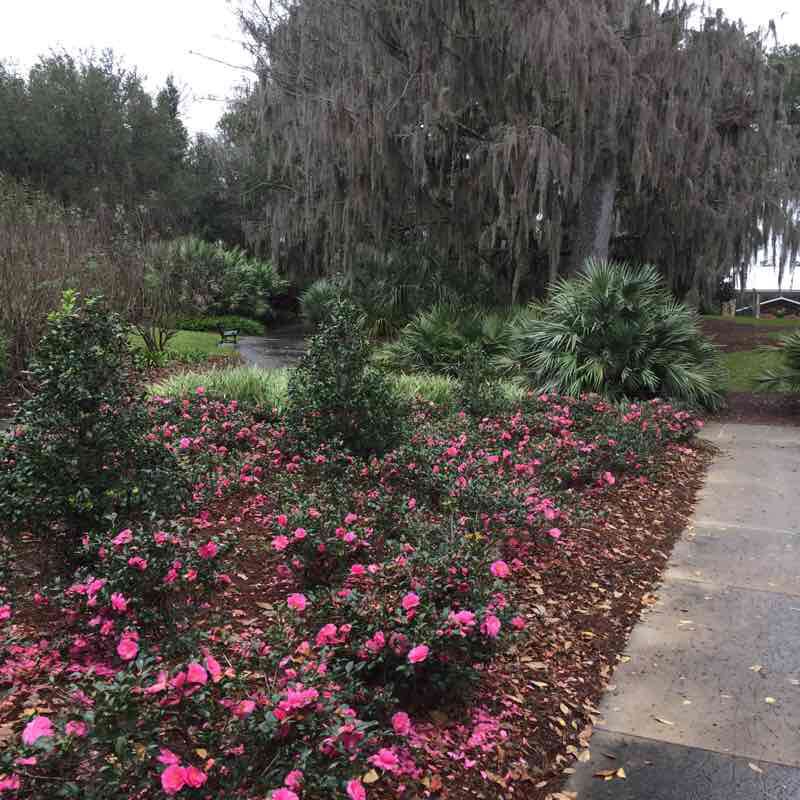 Sholom Park - Formal Garden Trail