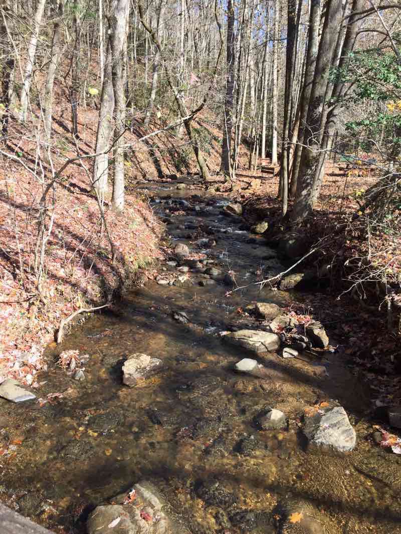 Amicalola Falls-瀑布步道和月桂树步道in Georgia | Walking Map