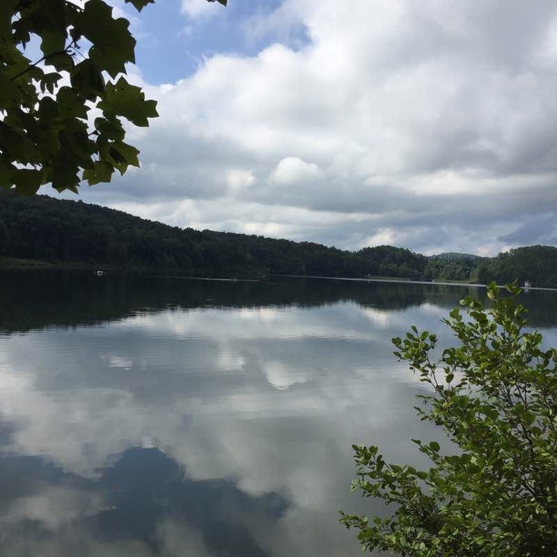 Lake Zwerner Trail Walk Dahlonega, USA Pacer