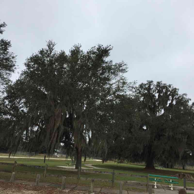 Pruitt trail walking route map in Dunnellon