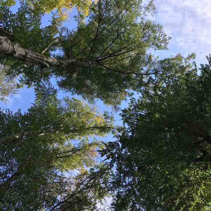 Afternoon running in #FRANKFURT #Südbahnhof