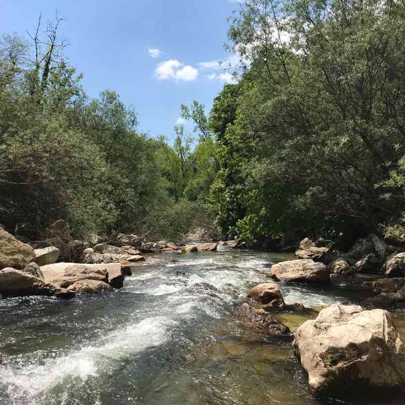 Command walking route map in Russin