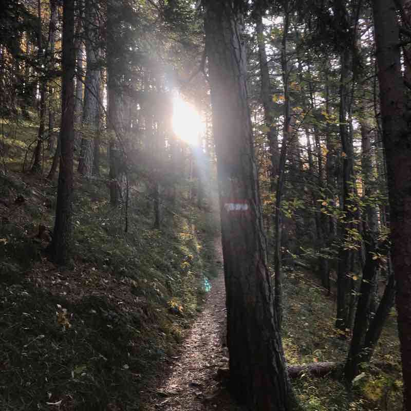 Unterberg walking route map in Gaupmannsgraben