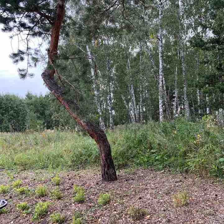 Equestrian center "Rifey" walking route map in Sadovyi