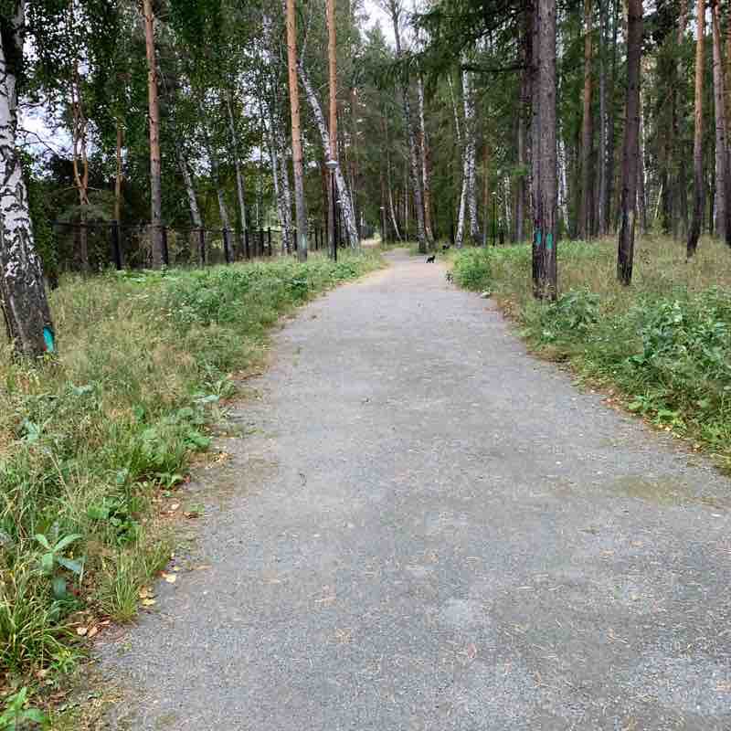 Sports Park "Rifey" walking route map in Sadovyi