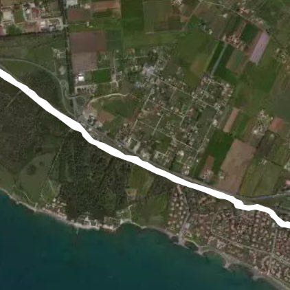 Mattina al boschetto