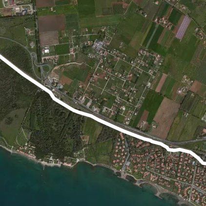 Camminata nel boschetto