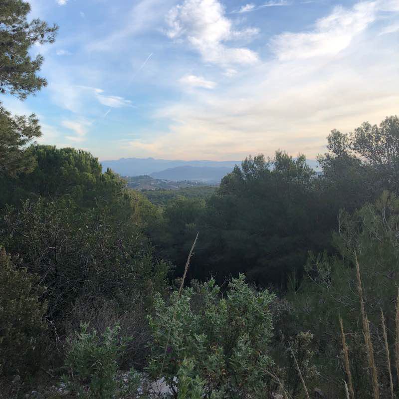 Tranquil Forest & Mountain trail walking route map in Alhaurín el Grande