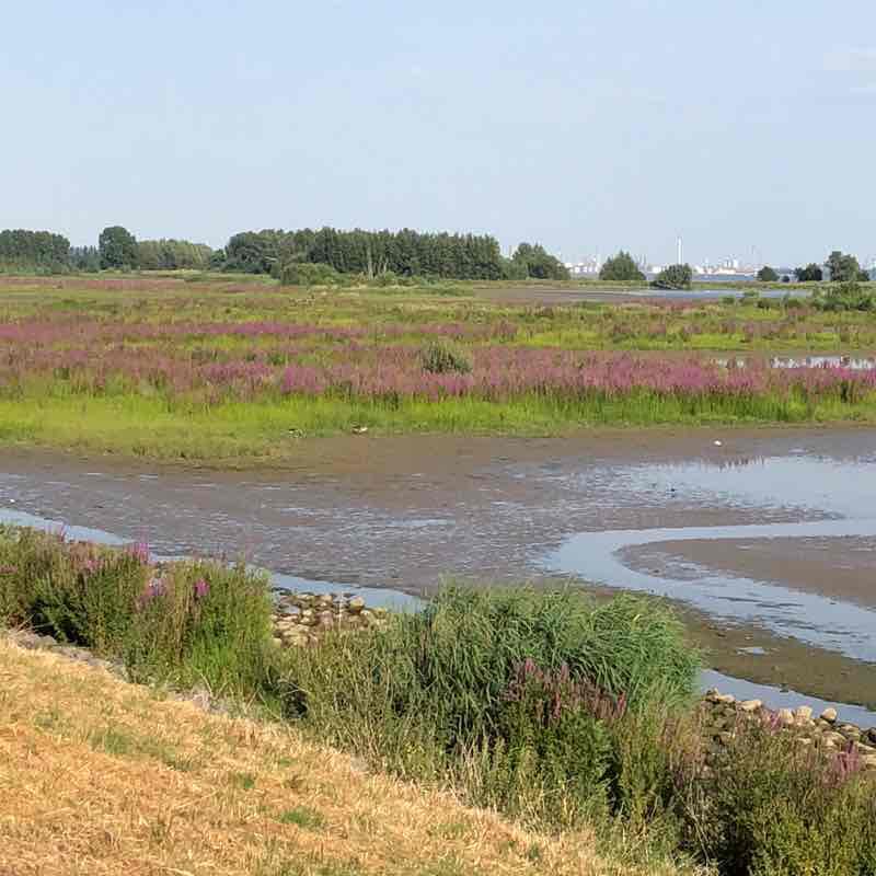 Traditionally delicious walking route map in Numansdorp