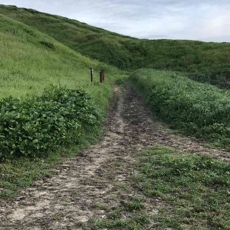 Victory Trailhead Walk West Hills, California, USA Pacer