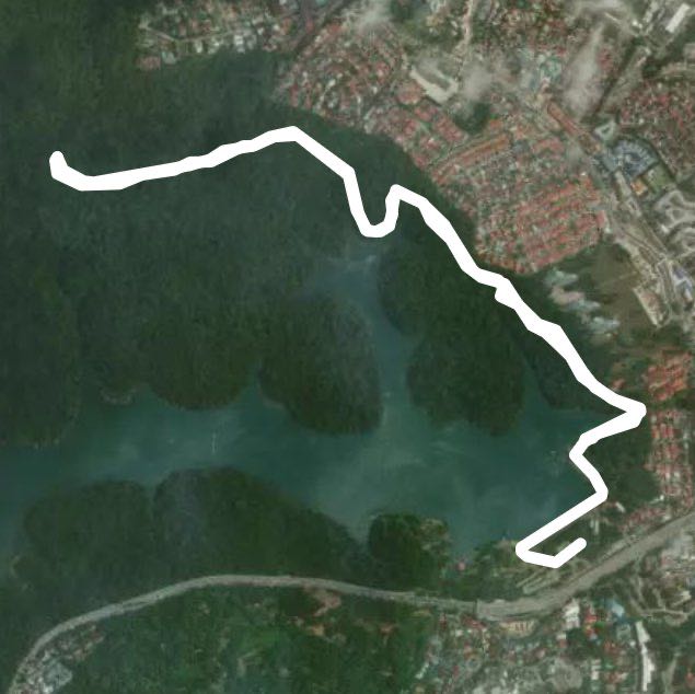 MacRitchie Reservoir