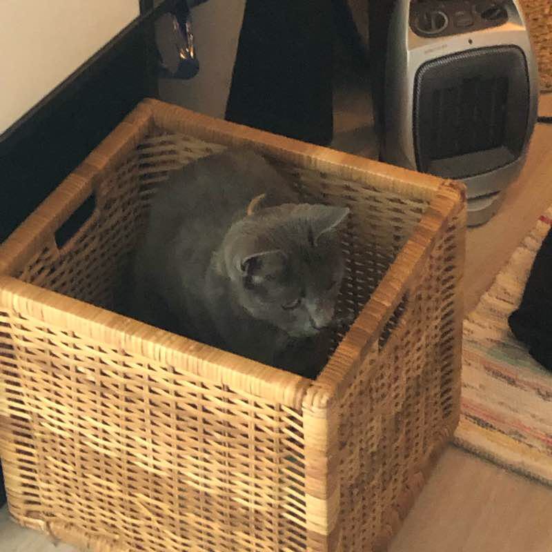 Sydney Olympic Park Ride walking route map in Melrose Park