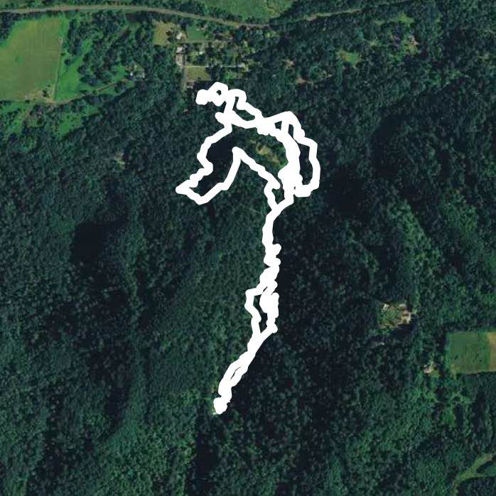 Latourell Falls loop trail