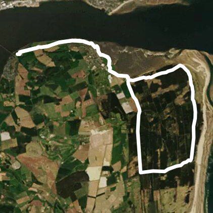 Tay bridge-Tentsmuir Forest 