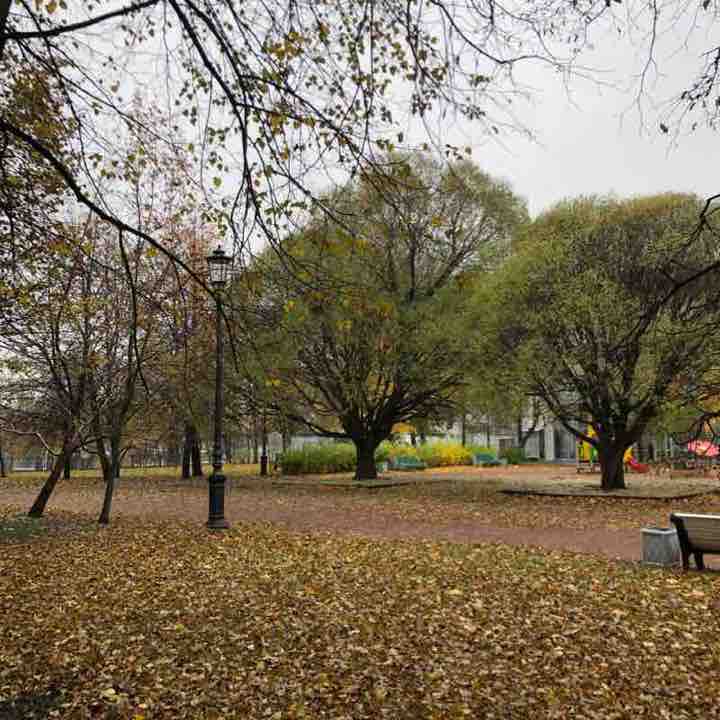 Любимый парк