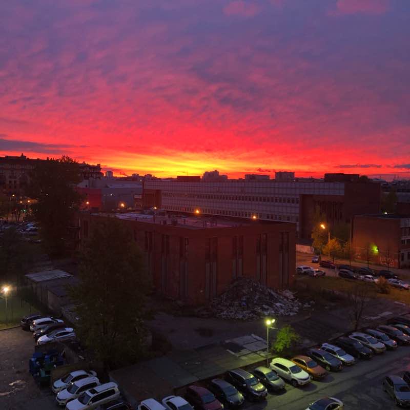 Любимый парк